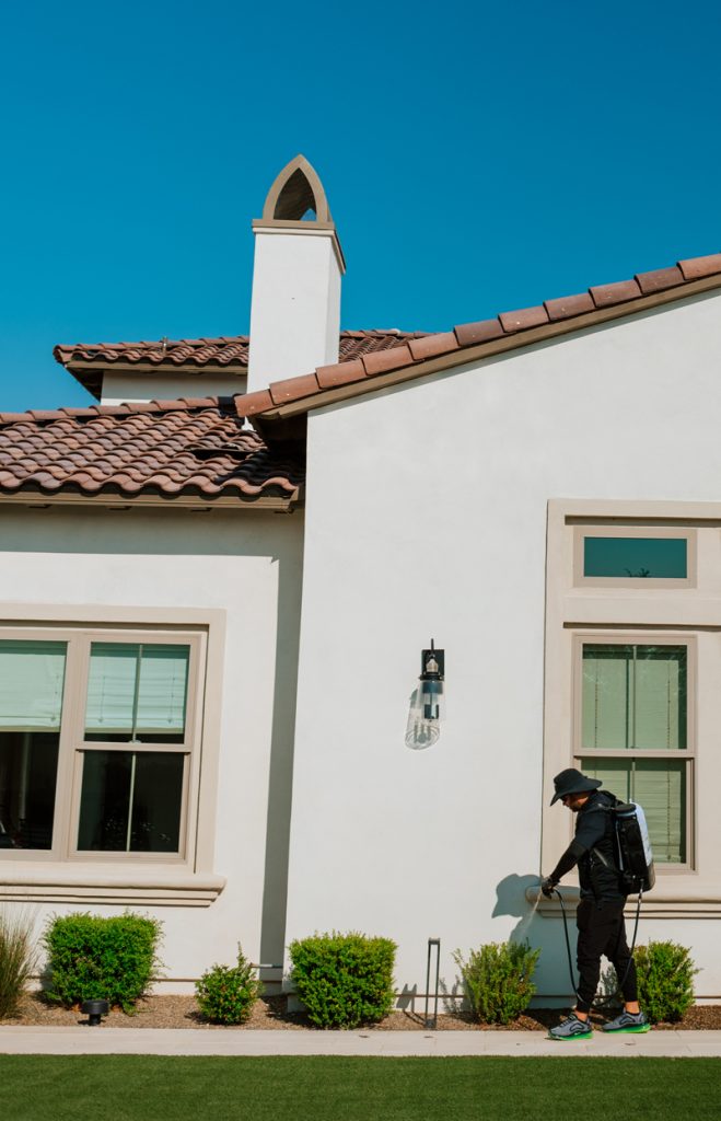 Hello Rodent Rodent Control Queen Creek, AZ | Panda Pest Control