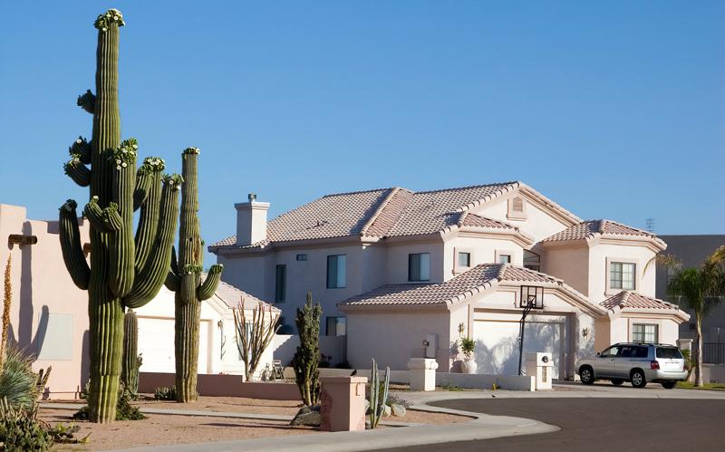What Arizona Residents Should Know About Pest Surges During Monsoon Season