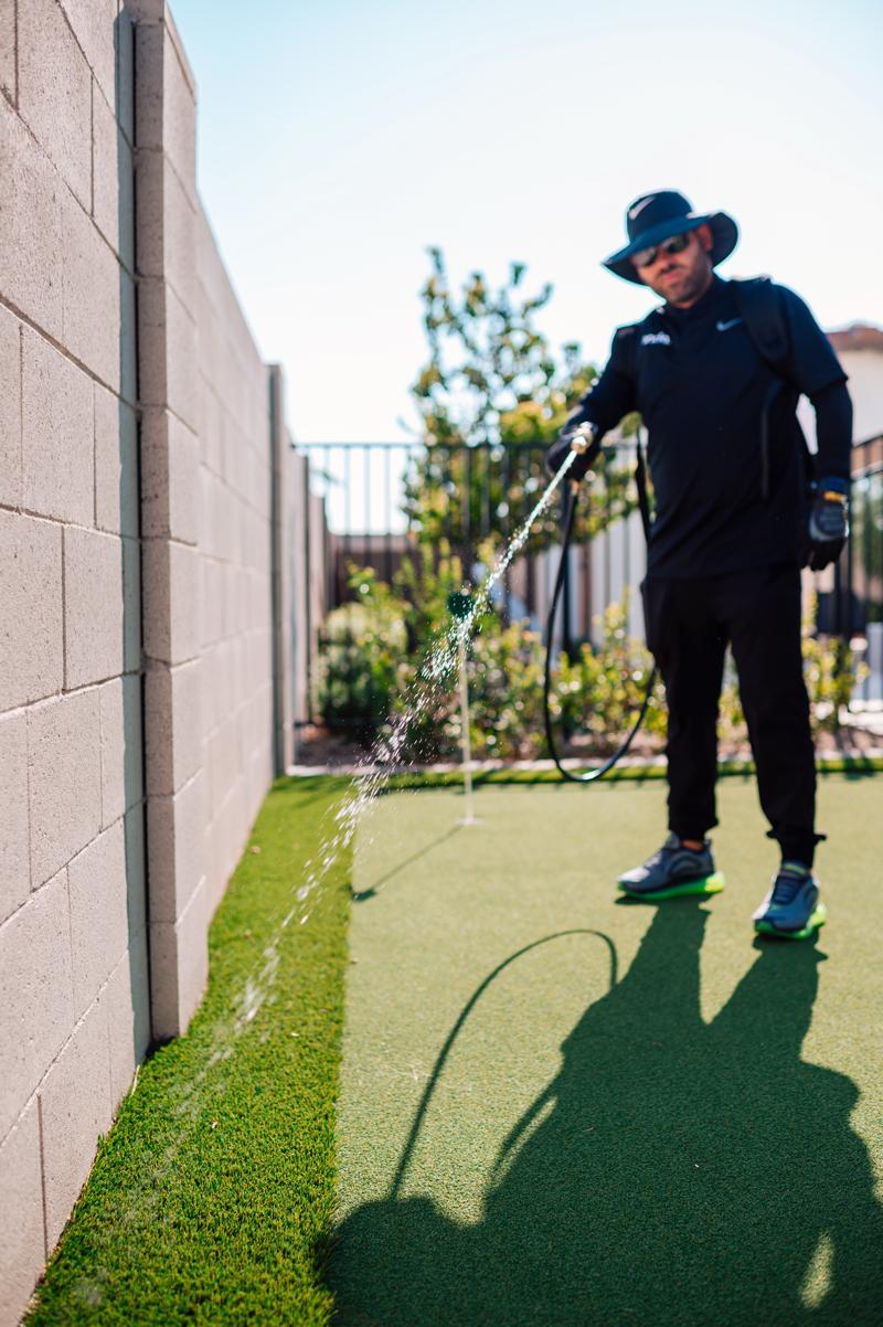 Creating a Pest-Free Backyard in Arizona