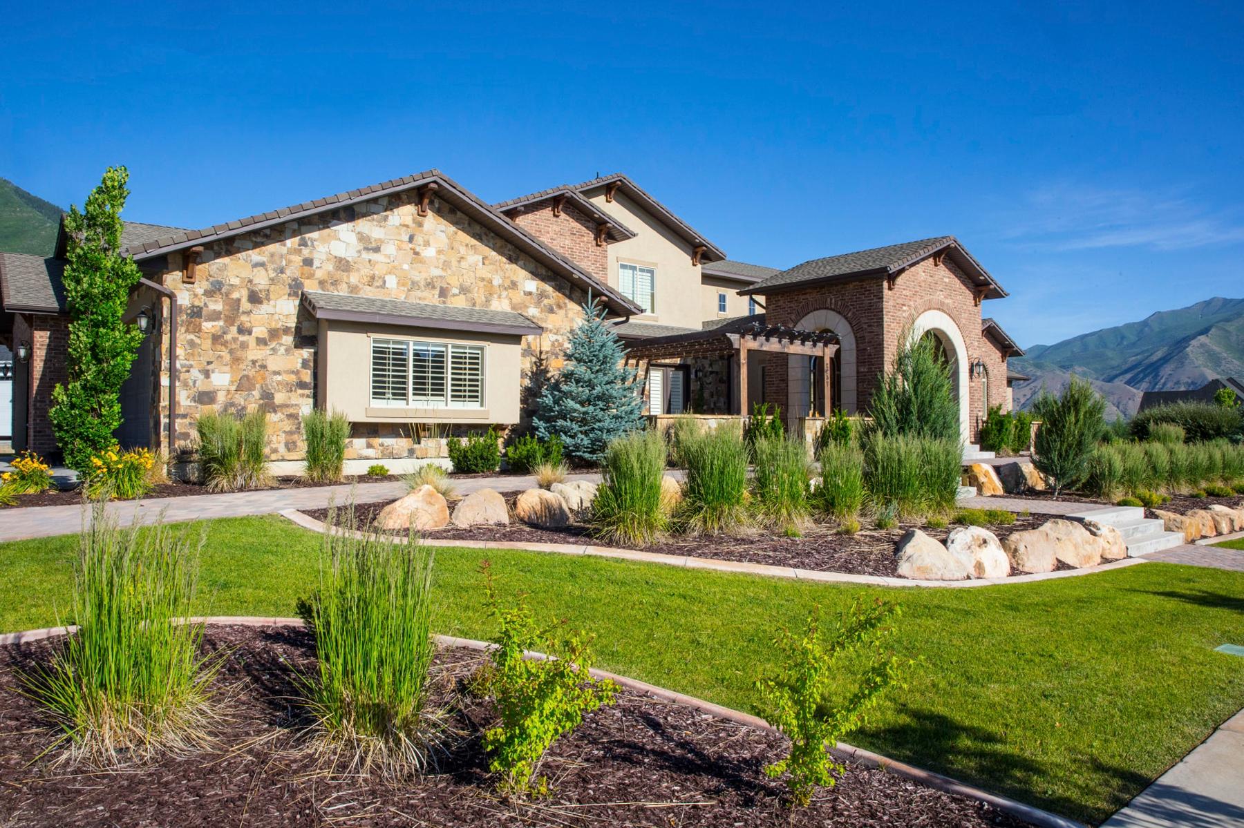 Landscaping with Purpose: Designing Yards to Deter Pests